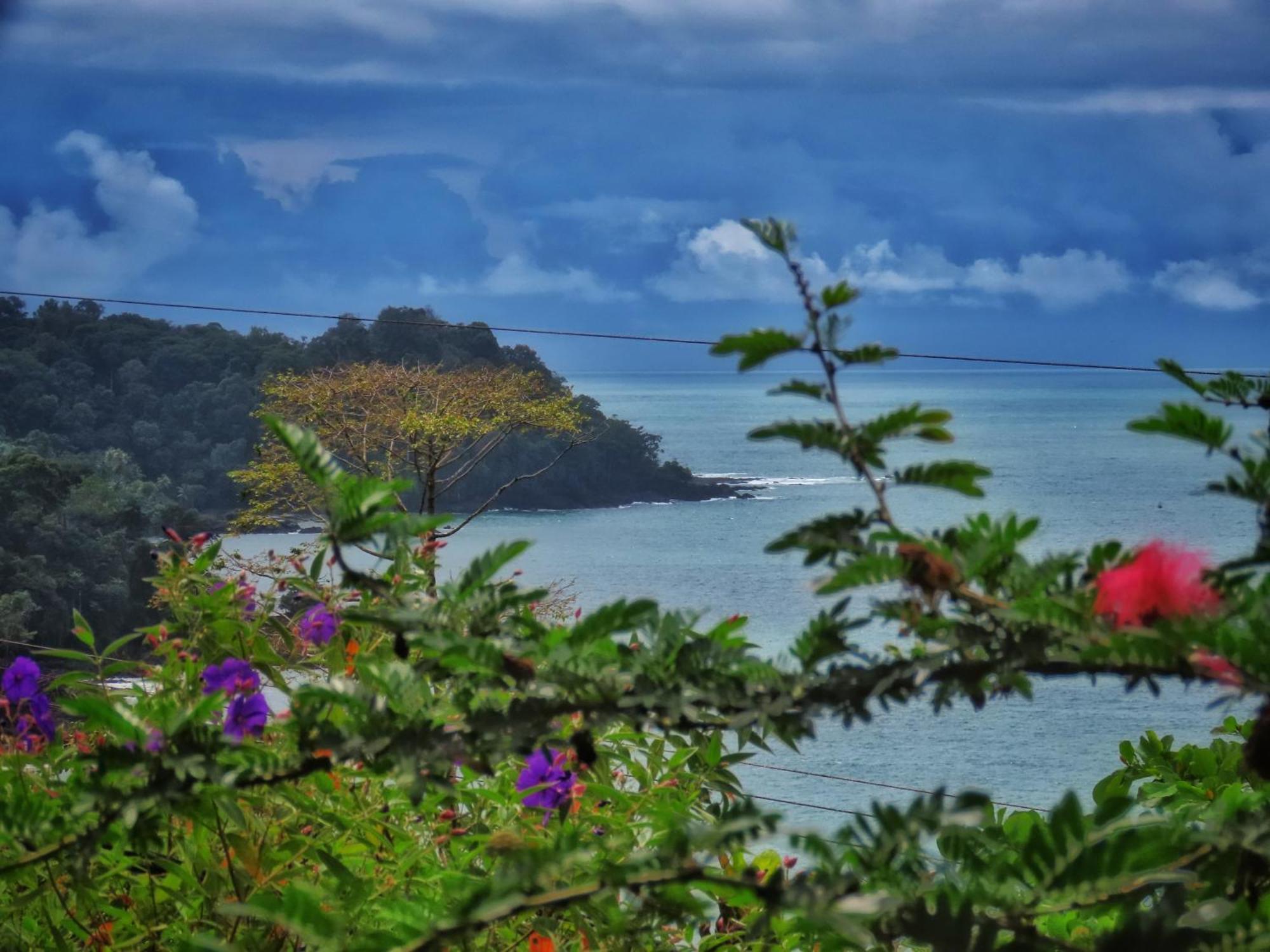 Bella Vista Corcovado 호텔 Drakes Bay 외부 사진