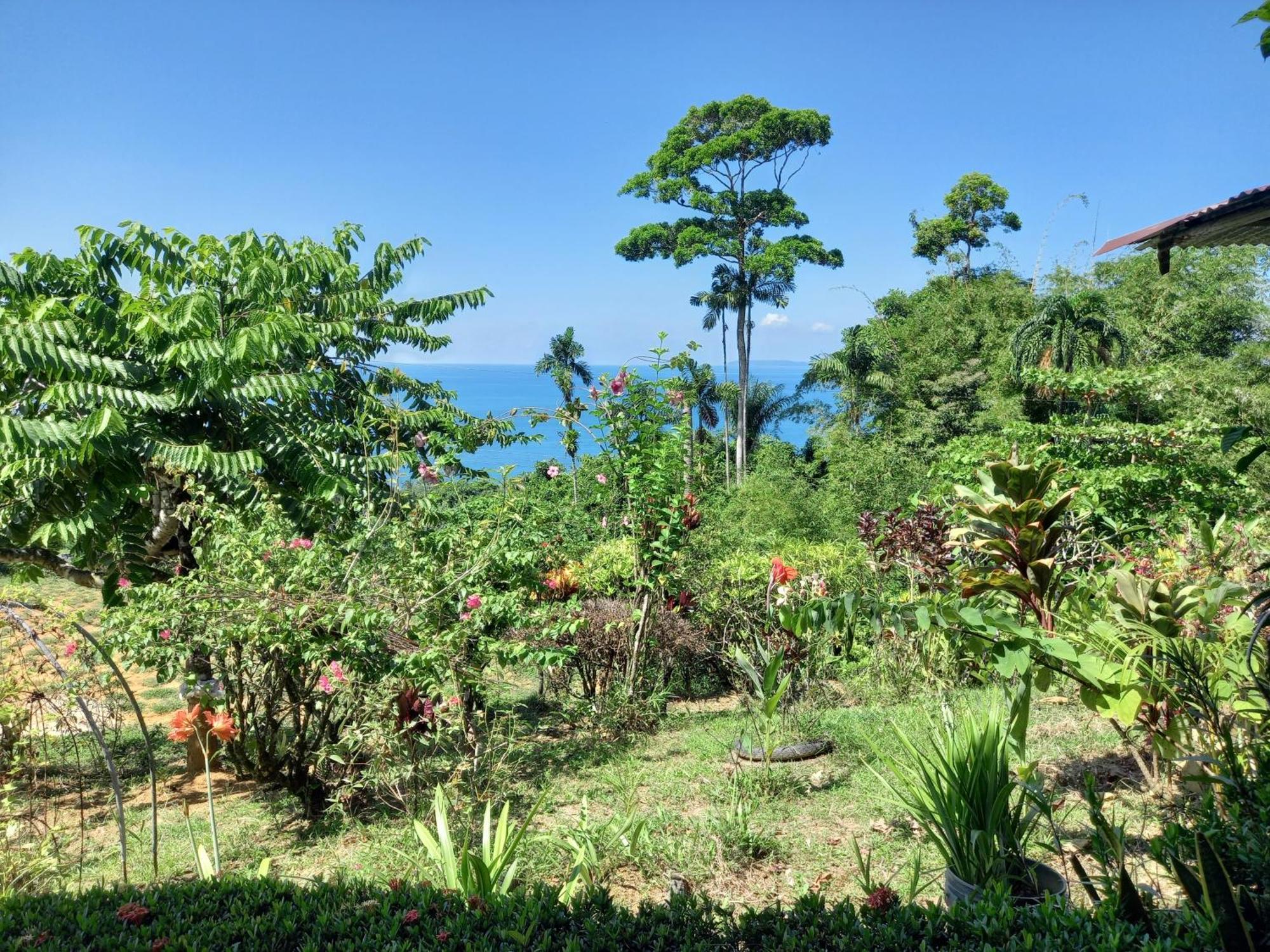 Bella Vista Corcovado 호텔 Drakes Bay 객실 사진