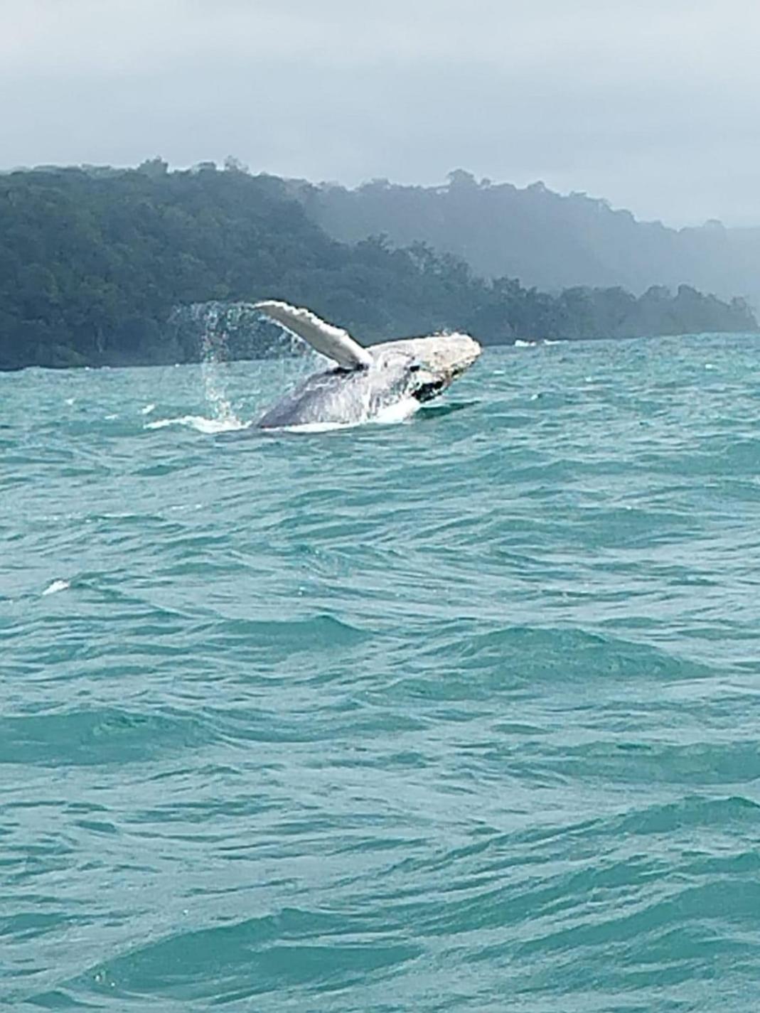 Bella Vista Corcovado 호텔 Drakes Bay 외부 사진