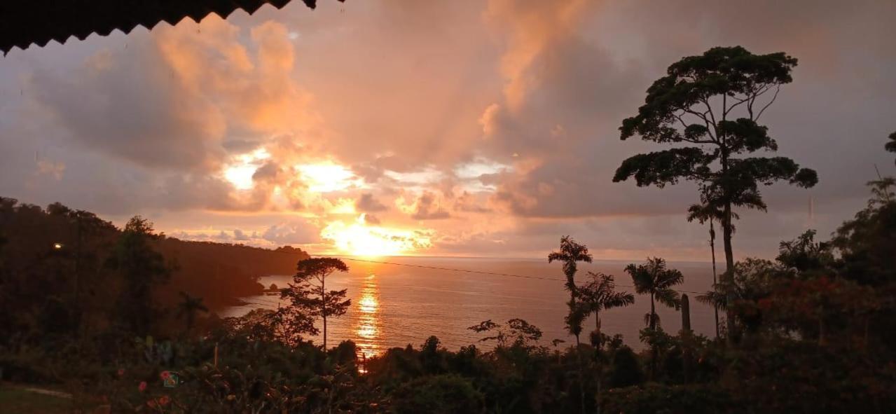 Bella Vista Corcovado 호텔 Drakes Bay 외부 사진